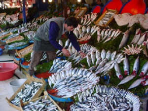 Fish Monger in Istanbul