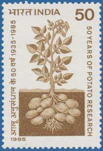 Indian Stamp Commemorating the Potato