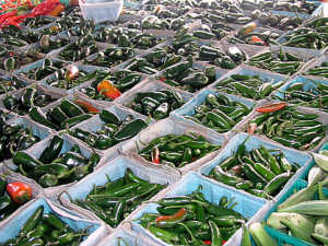 Boxes of Jalapenos